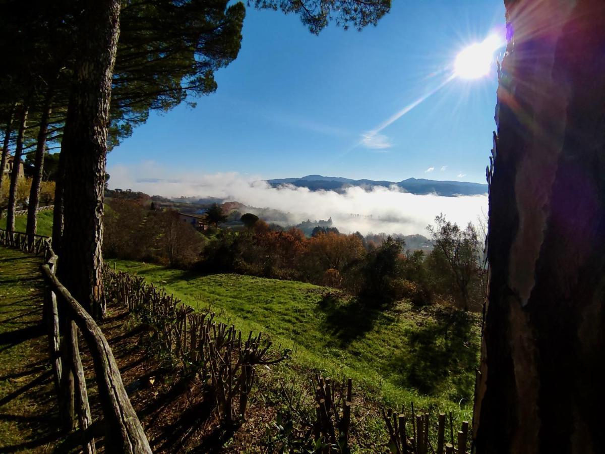 Fonte Degna - Alloggio E Sito Storico Βίλα Citerna Εξωτερικό φωτογραφία